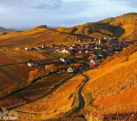 Les Vendangeurs * Niedermorschwihr